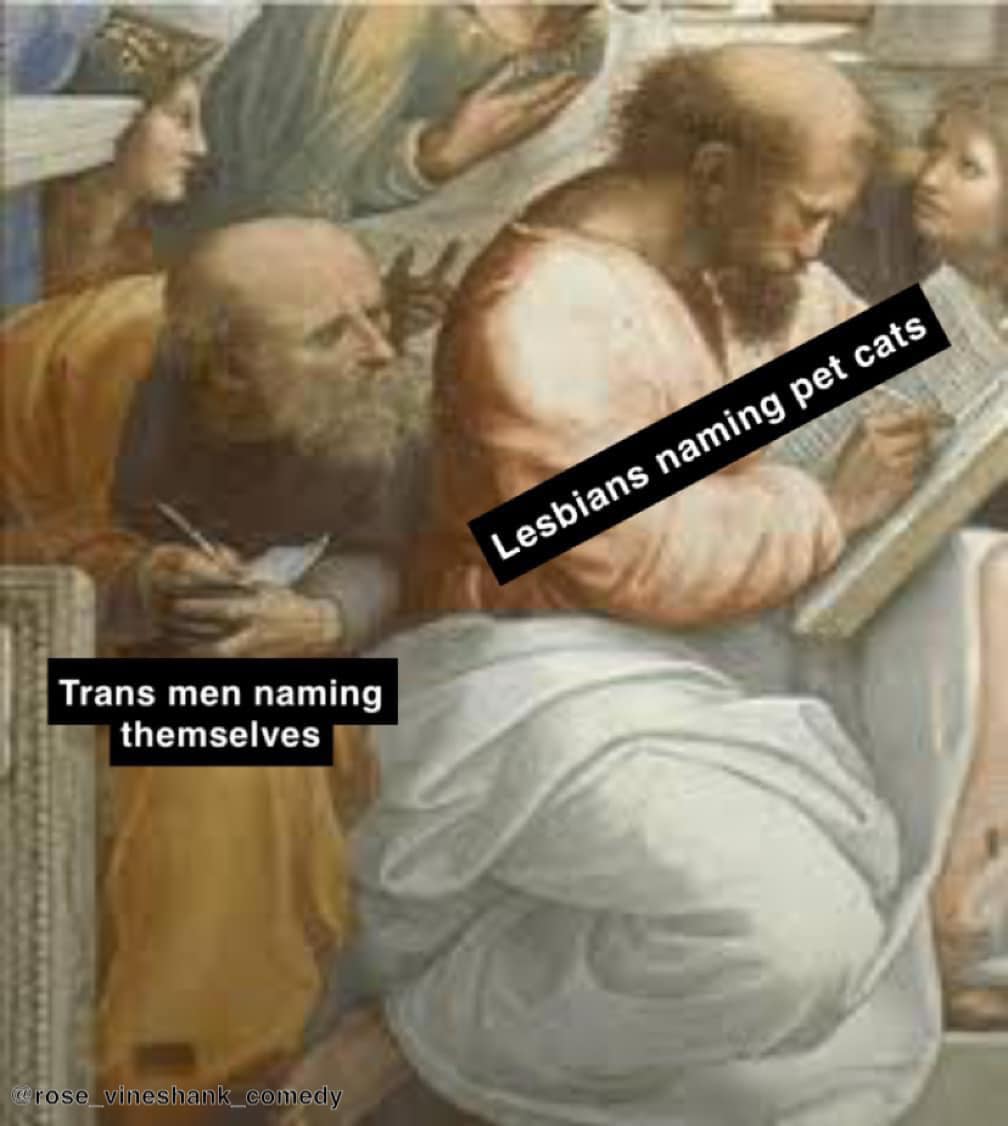 This meme is a play on a famous painting, "The School of Athens" by Raphael. In the original painting, Plato is pointing upwards, indicating that he is discussing the nature of reality. In the meme, the same scene is recreated, but Plato is now pointing to a book with the title "The Nature of Cats" and the text "Lesbians naming pets" is written above his head. The meme is humorous because it implies that Plato is discussing the nature of reality, but in this case, he is actually discussing the naming of pets by lesbians.